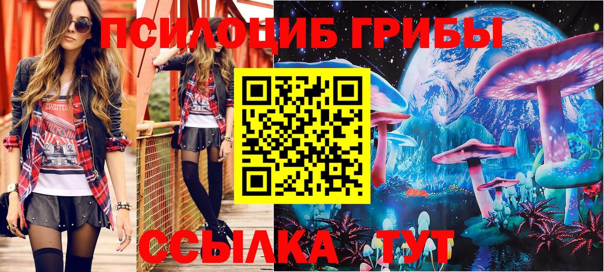 сколько стоит  Псилоцибиновые грибы Psilocybe  Вход с VPN  Асино 