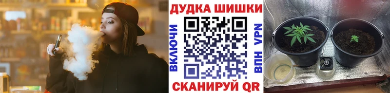 Шишки марихуана OG Kush  Асино 